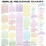 Customised Bible reading plans 