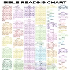 Customised Bible reading plans